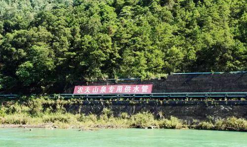 百香果怎么吃有减肥的功效，百香果怎么吃减肥效果最好（刚切开香气就狂涌出来）