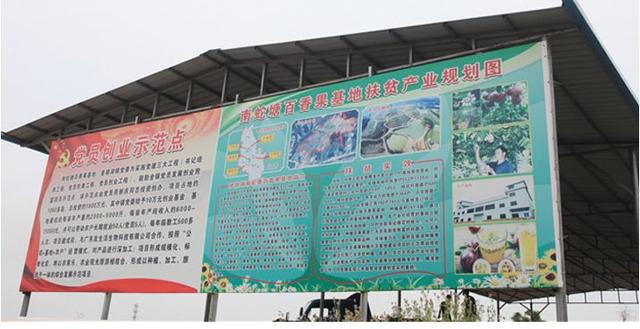 百香果怎么吃有减肥的功效，百香果怎么吃减肥效果最好（刚切开香气就狂涌出来）