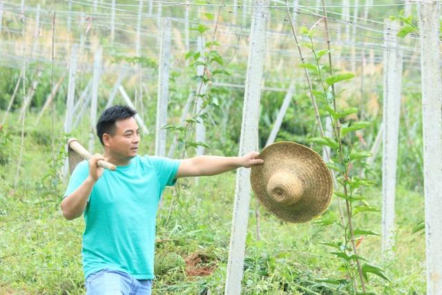 百香果怎么吃有减肥的功效，百香果怎么吃减肥效果最好（刚切开香气就狂涌出来）