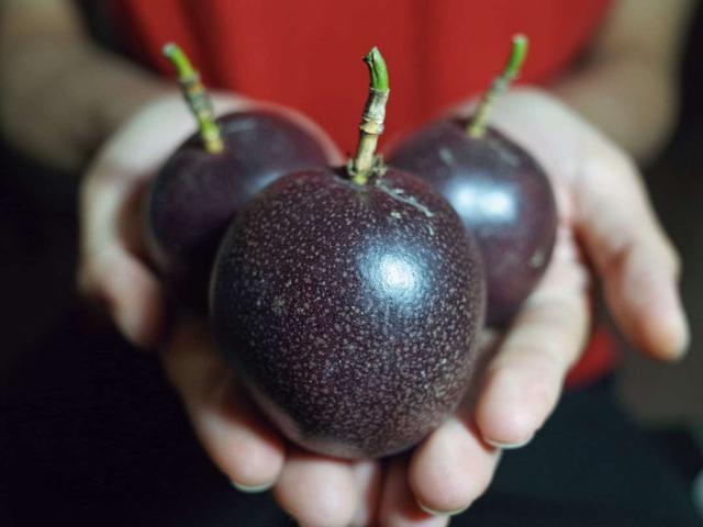 百香果怎么吃有减肥的功效，百香果怎么吃减肥效果最好（刚切开香气就狂涌出来）