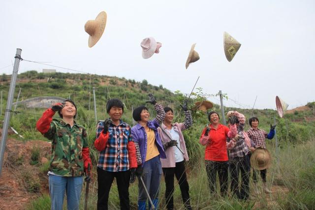 百香果怎么吃有减肥的功效，百香果怎么吃减肥效果最好（刚切开香气就狂涌出来）
