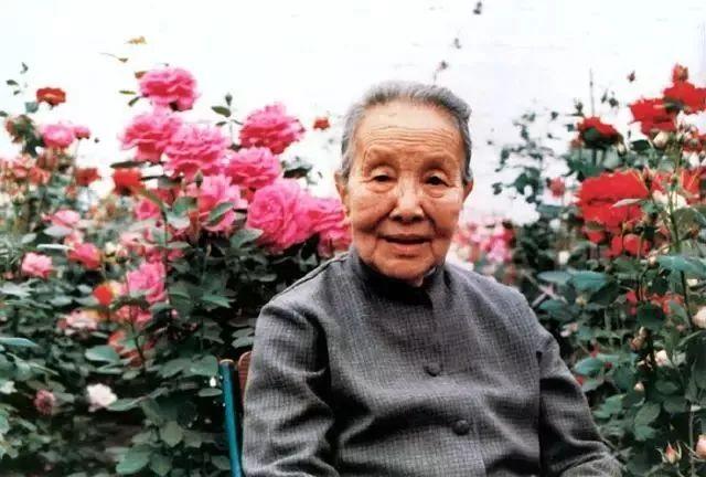 一壶冰心在玉壶指什么，一片冰心在玉壶的玉壶意思（夜话丨一片冰心在玉壶）