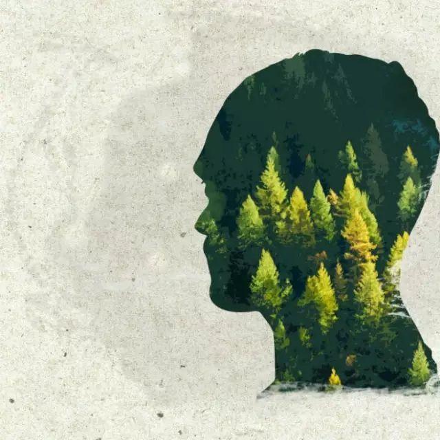 对父亲的5种称呼，爸爸有另外的称呼么（对父亲的称谓，你说得上几种）