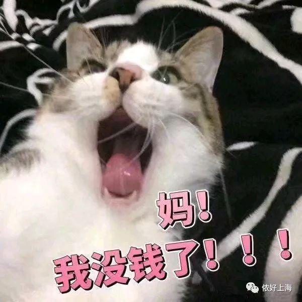 小赤佬上海话是什么意思，小赤佬是哪里方言（上海话里“各色各样”的人）