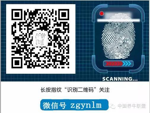 空怀（空怀若谷），“五步法”防治母牛空怀（空怀的意思）