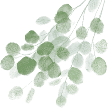 城市热岛效应是指什么，城市热岛效应属于什么效应（什么是热岛效应）