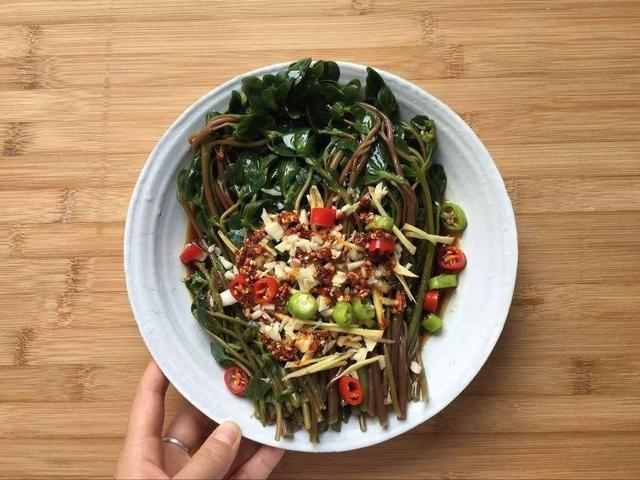 车辙子功效与作用子怎么吃，车前子的功效与作用吃法（春天丨永安的春天最美的）