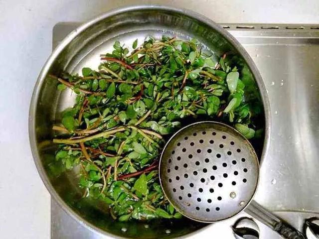 车辙子功效与作用子怎么吃，车前子的功效与作用吃法（春天丨永安的春天最美的）