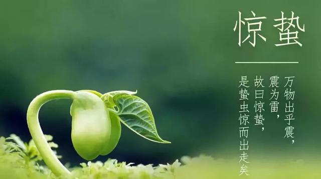 惊蛰的含义，惊蛰的含义和谚语（节气，今日惊蛰）