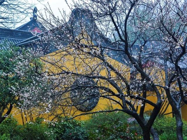 惊蛰的含义，惊蛰的含义和谚语（节气，今日惊蛰）