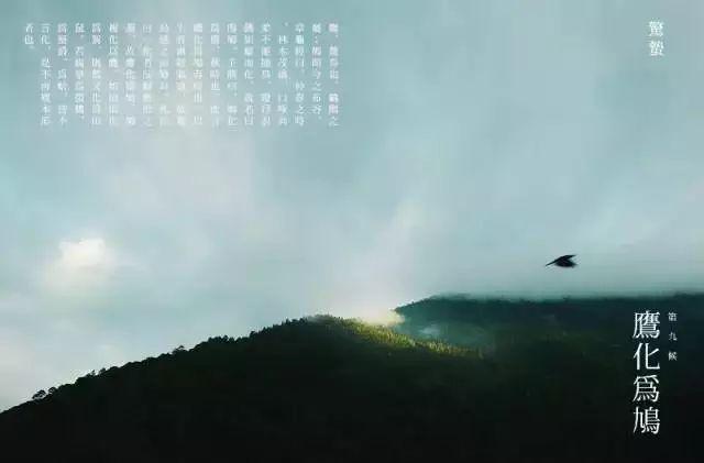 惊蛰的含义，惊蛰的含义和谚语（节气，今日惊蛰）