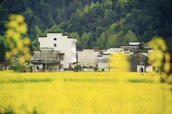 惊蛰的含义，惊蛰的含义和谚语（节气，今日惊蛰）