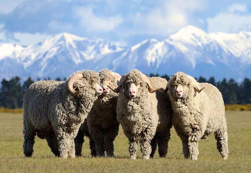 开衫的12种穿法，针织开衫的12种穿法（一件开衫，穿三季，无穷种穿法）