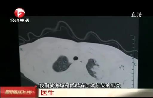 非洲灰鹦鹉怕不怕冷，非洲鹦鹉怕冷吗（竟是网购鹦鹉惹的祸）