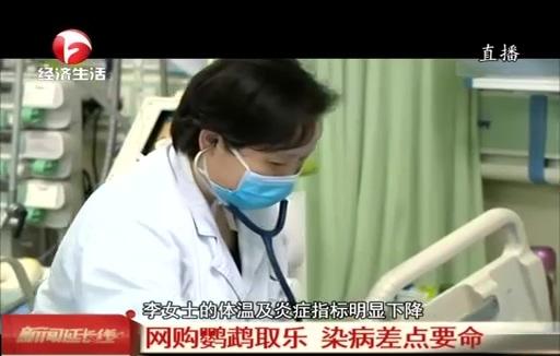 非洲灰鹦鹉怕不怕冷，非洲鹦鹉怕冷吗（竟是网购鹦鹉惹的祸）