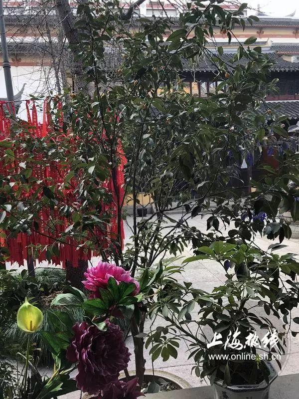 上海沉香阁住持，上海沉香阁寺庙（居然还是全国汉族地区重点寺院）