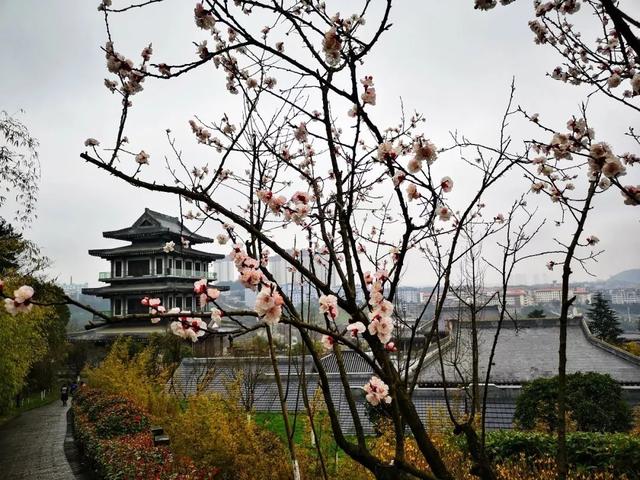 柳岸花明又一村的意思，这26个春天的成语