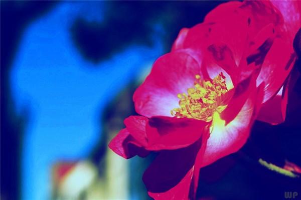 励志励志说说，最新励志说说（30句励志说说）