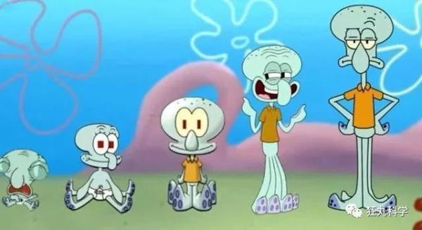 什么动物早上八条腿晚上四条腿，什么动物早上八条腿晚上四条腿脑筋急转弯（看完章鱼两条腿跑路的样子）