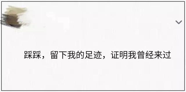 新浪微博如何注销，新浪微博怎么注销账号（但第一批尝试的人已经放弃了……）