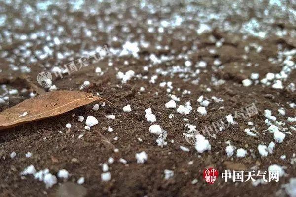 雪花是什么样子的，人工降雪的雪花是什么样的（下雪啦，雪花的形状了解下）