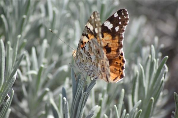 最能燃爆斗志的句子，拼搏励志短句霸气（适合激励自己的一句话）
