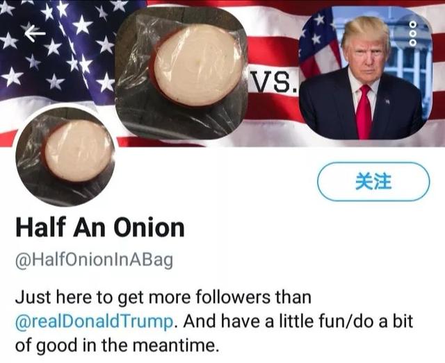 动批是什么意思，动批现在变成什么了（全球点赞最多的照片是一只鸡蛋）
