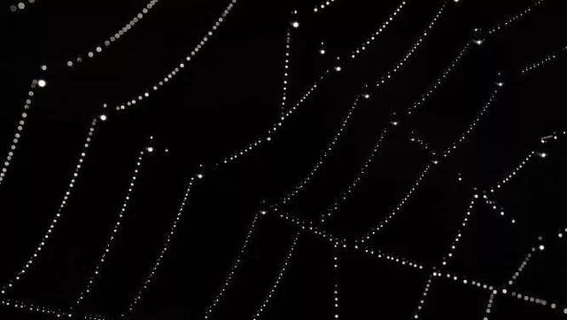 714是什么意思，714什么意思（起底714高炮：炒房团放贷）