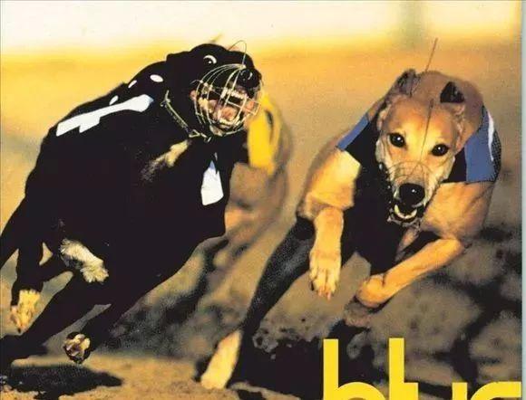 714是什么意思，714什么意思（起底714高炮：炒房团放贷）