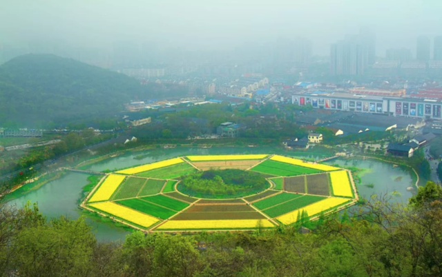 油菜花说下吧下吧我要干什么（去杭州花海踏青吧）