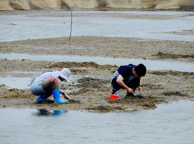 唐山曹妃甸赶海时间表，曹妃甸几点赶海最合适（爱去唐山这地挖蛤钓鱼的必备）