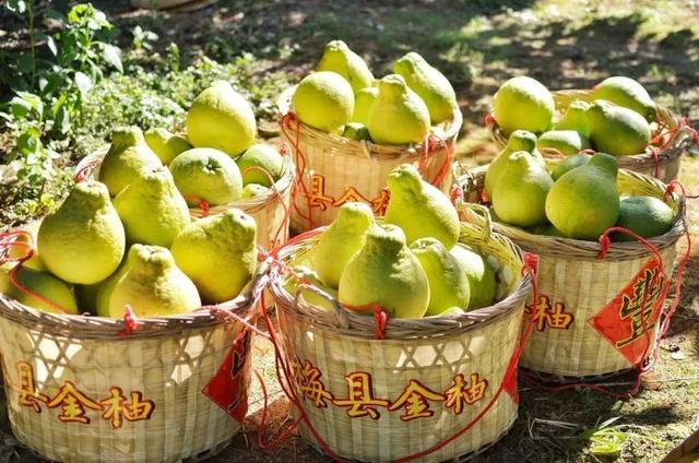 梅汕高铁开行方案，广州-梅州仅3.5h