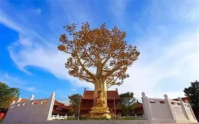 梅汕高铁开行方案，广州-梅州仅3.5h