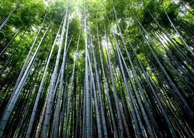 梅汕高铁开行方案，广州-梅州仅3.5h
