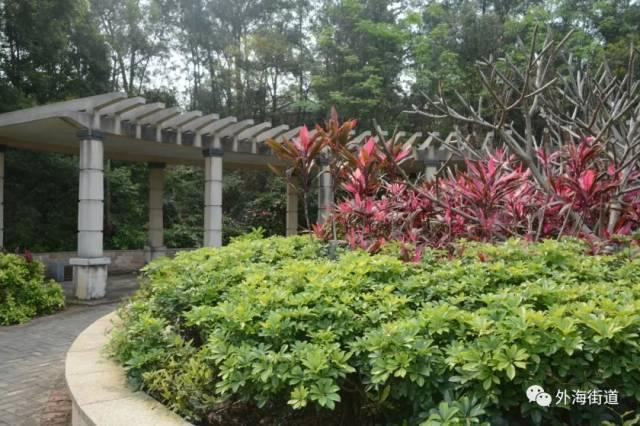 江门十大旅游景点，江门一日游（江门7个踏青好去处）