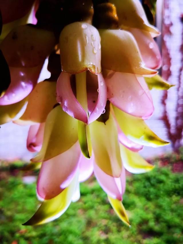 江门十大旅游景点，江门一日游（江门7个踏青好去处）