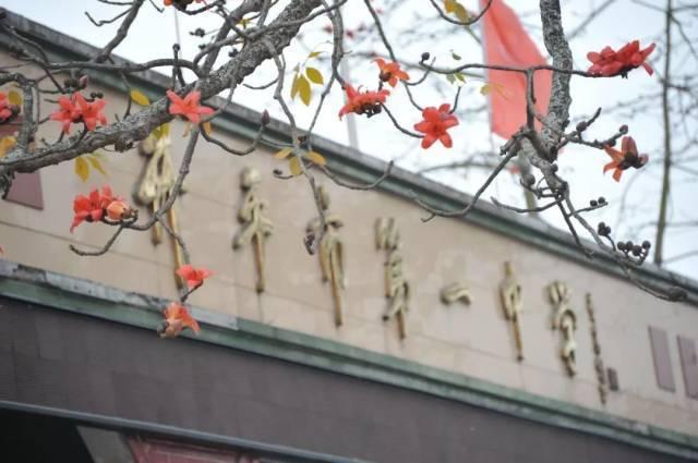 江门十大旅游景点，江门一日游（江门7个踏青好去处）