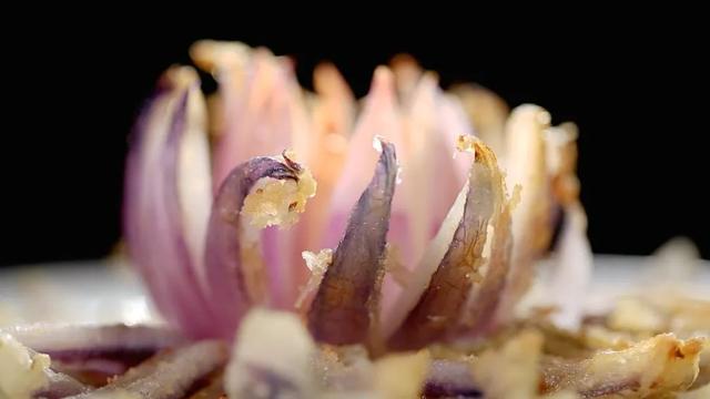 雪莲花怎么吃，野生雪莲花的正确吃法（今日播出《有助于预防脑梗——洋葱时蔬饼+雪莲花》）