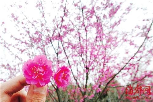 形容四月的唯美句子，形容四月的句子唯美文案（描写四月的优美句子迎接四月句子）