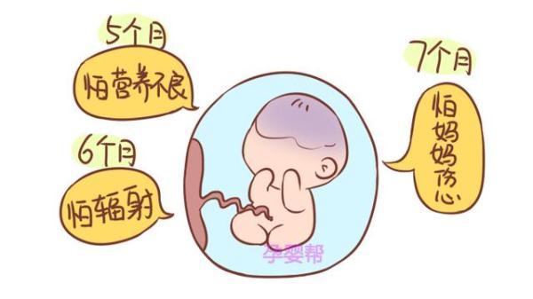 孕妇孕期不能做的十件事,胎儿最怕这10件事情 孕妇孕期不能做的十件事,胎儿最怕这10件事情