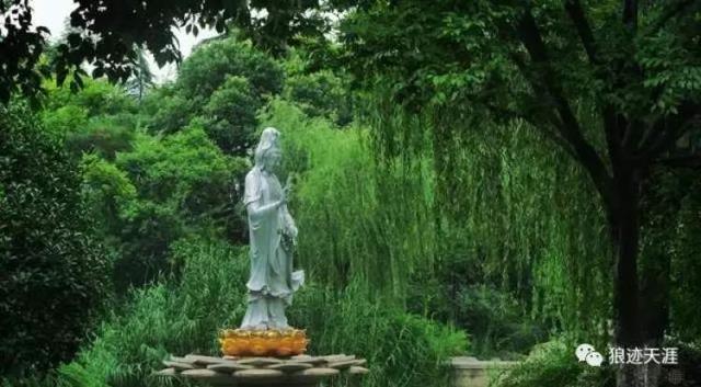 农历中国 | 二月十九 · 观音菩萨诞辰日