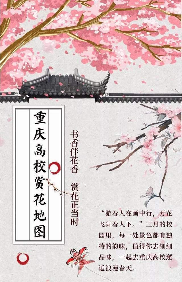 杏花的寓意和象征，杏花寓意好不好（重庆各大高校的浪漫花语）