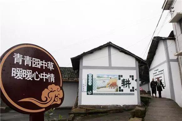 保护环境的标语，50句保护环境的标语（100条农村人居环境整治宣传标语送给您）