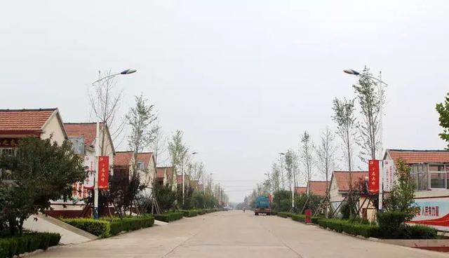 保护环境的标语，50句保护环境的标语（100条农村人居环境整治宣传标语送给您）