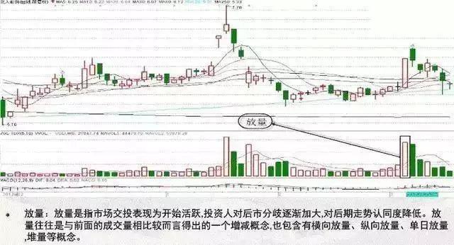 成交量指标怎么看，成交量指标从哪几个方面看（“成交量”才是股市最真实的指标）