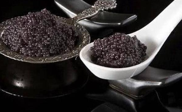 鱼子酱是什么东西，鱼子酱是什么（一盒23308美元）