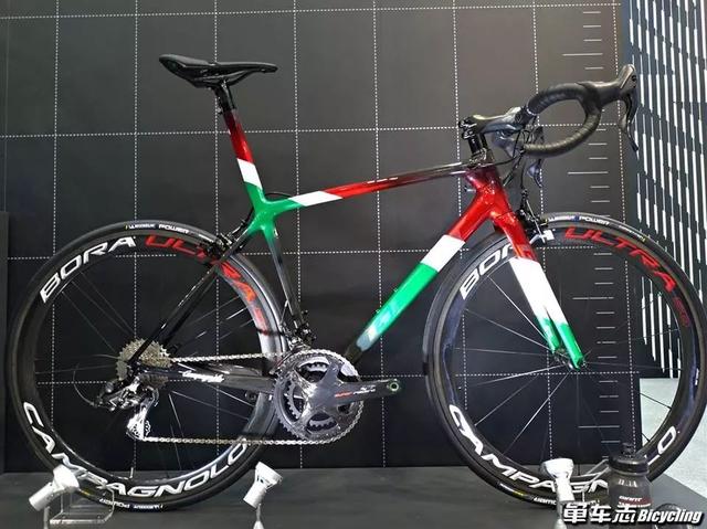 捷安特自行车官网，捷安特官网（Campagnolo联名限量款公路车）