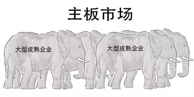 科创板是什么意思，科创板注册制什么意思（科创板还没懂？赶紧上车）