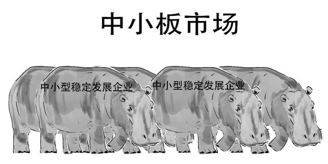 科创板是什么意思，科创板注册制什么意思（科创板还没懂？赶紧上车）