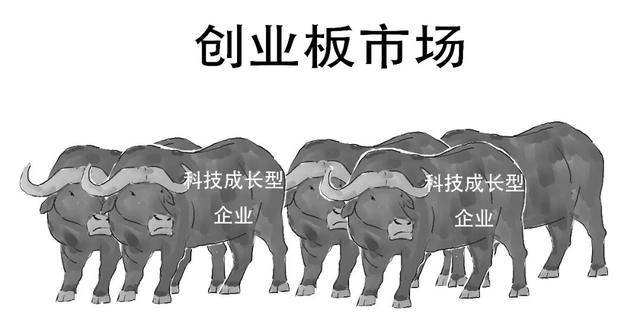 科创板是什么意思，科创板注册制什么意思（科创板还没懂？赶紧上车）